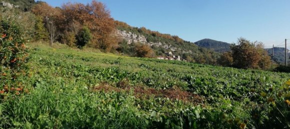 12غرفة فيلا في Piana di Monte Verna, Italy رقم 141194 48