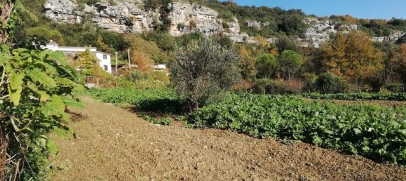 12غرفة فيلا في Piana di Monte Verna, Italy رقم 141194 50