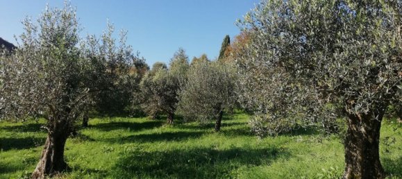 12غرفة فيلا في Piana di Monte Verna, Italy رقم 141194 44