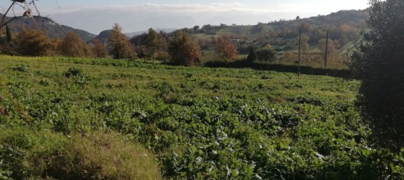 12غرفة فيلا في Piana di Monte Verna, Italy رقم 141194 47