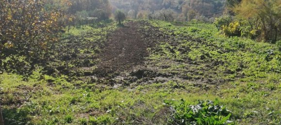 12غرفة فيلا في Piana di Monte Verna, Italy رقم 141194 49