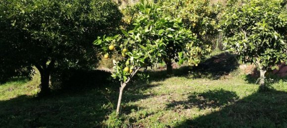 12غرفة فيلا في Piana di Monte Verna, Italy رقم 141194 43