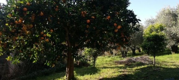 12غرفة فيلا في Piana di Monte Verna, Italy رقم 141194 42