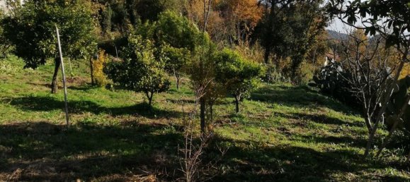 12غرفة فيلا في Piana di Monte Verna, Italy رقم 141194 41