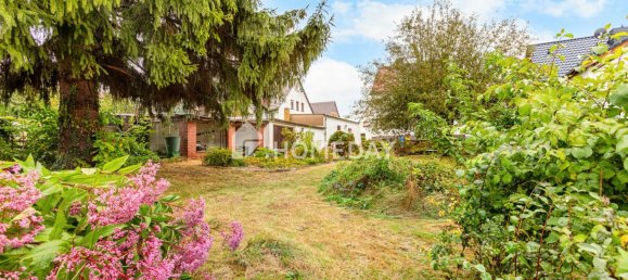 4 Schlafzimmer Haus in Nordsachsen, Germany, Nr. 364325 7