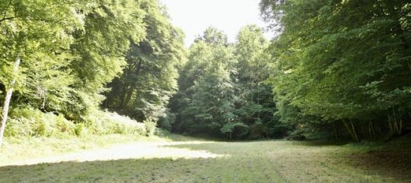 Studio in Val-et-Chatillon, France No. 312903 8