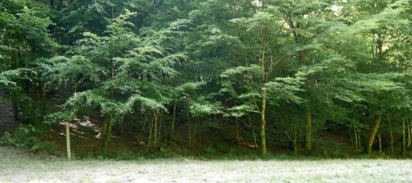 Studio in Val-et-Chatillon, France No. 312903 12