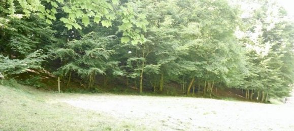 Studio in Val-et-Chatillon, France No. 312903 13