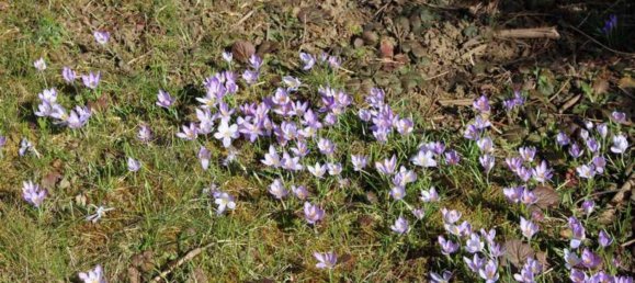 4 Schlafzimmer Bauernhof in Donnersbergkreis, Germany, Nr. 82257 5