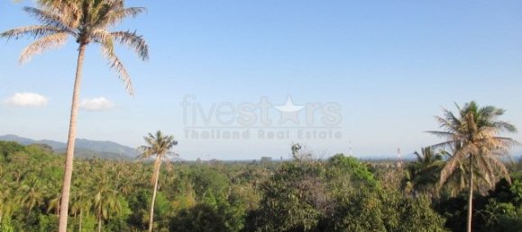 5 bedrooms Cafe / restaurant in Koh Pha Ngan, Thailand No. 7680 2