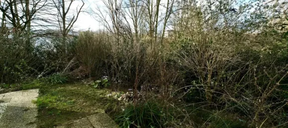 2 غرف نوم شقة في Dusseldorf, Germany رقم 90117 7