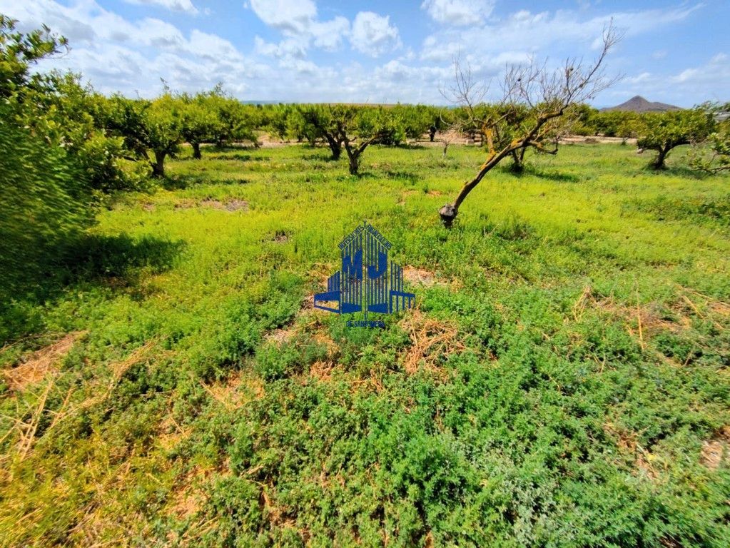 Terreno en Cobatillas, Spain 8970 m² No. 190650