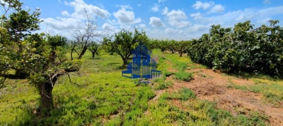 Terreno en Cobatillas, Spain 8970 m² No. 190650 10