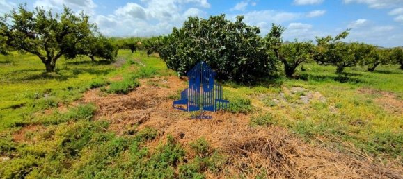 Terreno en Cobatillas, Spain 8970 m² No. 190650 9