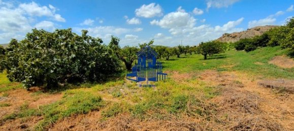 Terreno en Cobatillas, Spain 8970 m² No. 190650 5