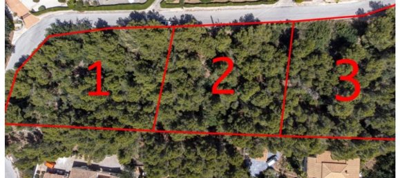  Land in Alicante, Spain No. 152805 5