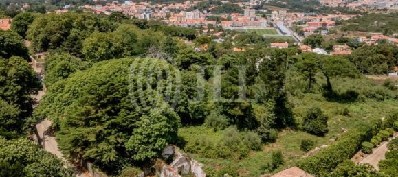 Grundstück in Sintra, Portugal 9640m², Nr. 61618 11