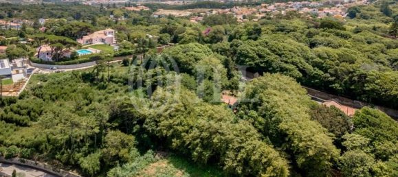 Grundstück in Sintra, Portugal 9640m², Nr. 61618 7