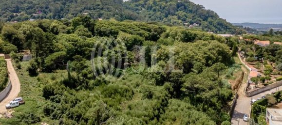 Grundstück in Sintra, Portugal 9640m², Nr. 61618 5