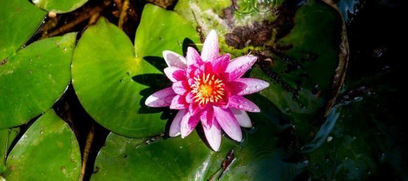 2634m² Hotel in Magione, Italy No. 56095 23