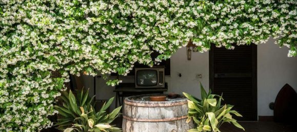 2634m² Hotel in Magione, Italy No. 56095 22