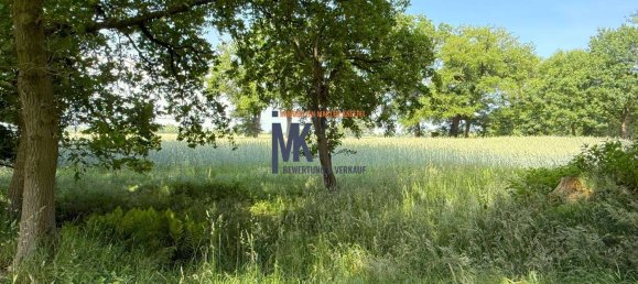 Casa de 5 habitaciónes en Diepholz, Germany No. 268364 38