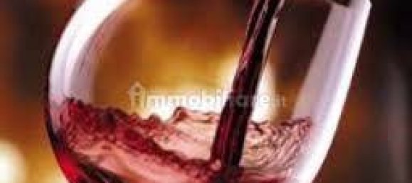 1 room Commercial property in San Martino Buon Albergo, Italy No. 207723 12