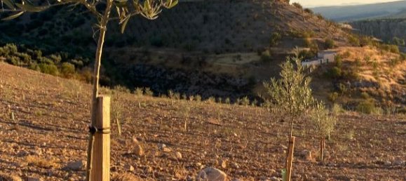 35000m² Land in Alhama de Granada, Spain No. 210232 8