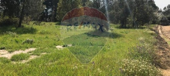 Terreno em Canas de Senhorim, Portugal 6850 m² N.º 49813 8