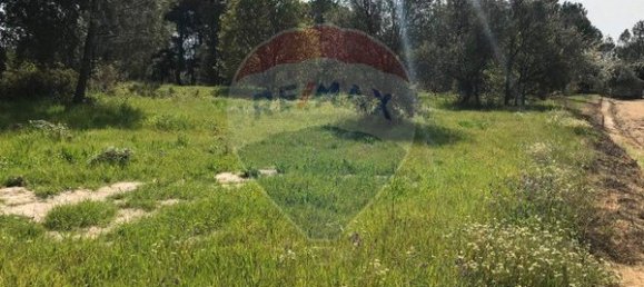 Terreno em Canas de Senhorim, Portugal 6850 m² N.º 49813 4