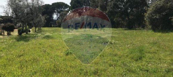 Terreno em Canas de Senhorim, Portugal 6850 m² N.º 49813 2