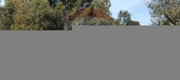 Terreno em Canas de Senhorim, Portugal 6850 m² N.º 49813 10