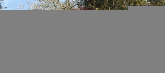 Terreno em Canas de Senhorim, Portugal 6850 m² N.º 49813 5