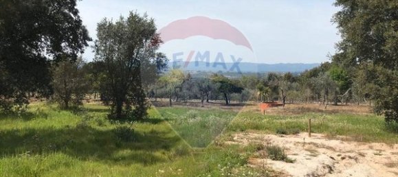Terreno em Canas de Senhorim, Portugal 6850 m² N.º 49813 11