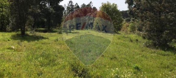 Terreno em Canas de Senhorim, Portugal 6850 m² N.º 49813 3