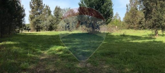 Terreno em Canas de Senhorim, Portugal 6850 m² N.º 49813 6