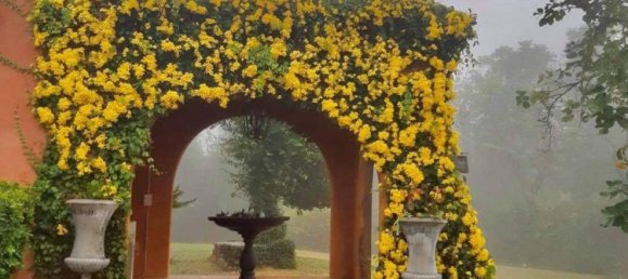 3 غرف نوم عقار تجاري في Pattaya, Thailand رقم 77980 12