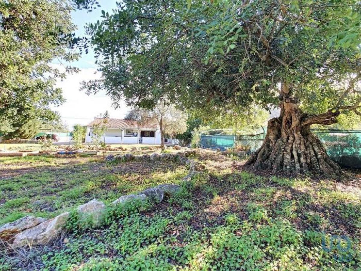 Casa T2 em Olhão, Portugal N.º 1240