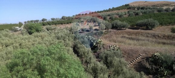 19000m² Land in Paternò, Italy No. 145418 29