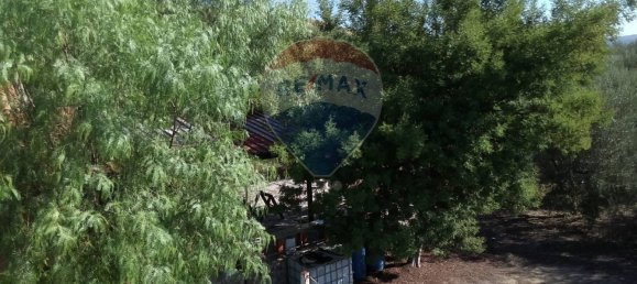 19000m² Land in Paternò, Italy No. 145418 8