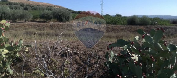 19000m² Land in Paternò, Italy No. 145418 38