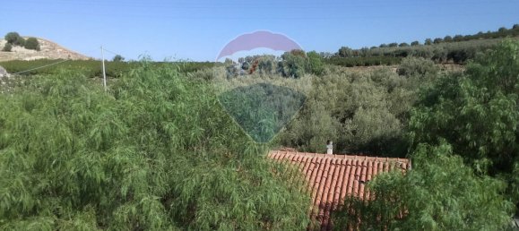 19000m² Land in Paternò, Italy No. 145418 18