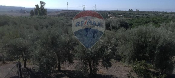 19000m² Land in Paternò, Italy No. 145418 9