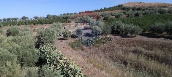 19000m² Land in Paternò, Italy No. 145418 42