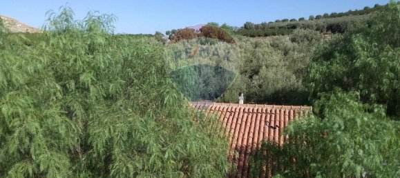 19000m² Land in Paternò, Italy No. 145418 12