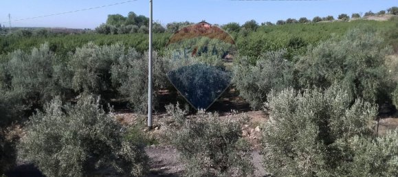 19000m² Land in Paternò, Italy No. 145418 6