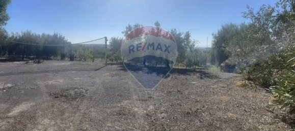 19000m² Land in Paternò, Italy No. 145418 47