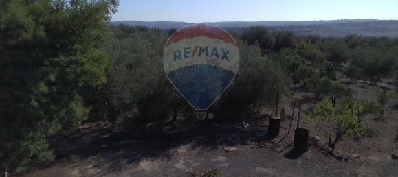 19000m² Land in Paternò, Italy No. 145418 10