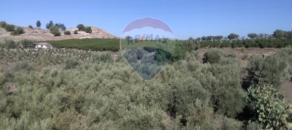 19000m² Land in Paternò, Italy No. 145418 43