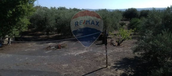 19000m² Land in Paternò, Italy No. 145418 23